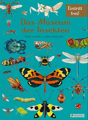 Cover for Dave Goulson · Das Museum der Insekten (Book) (2024)