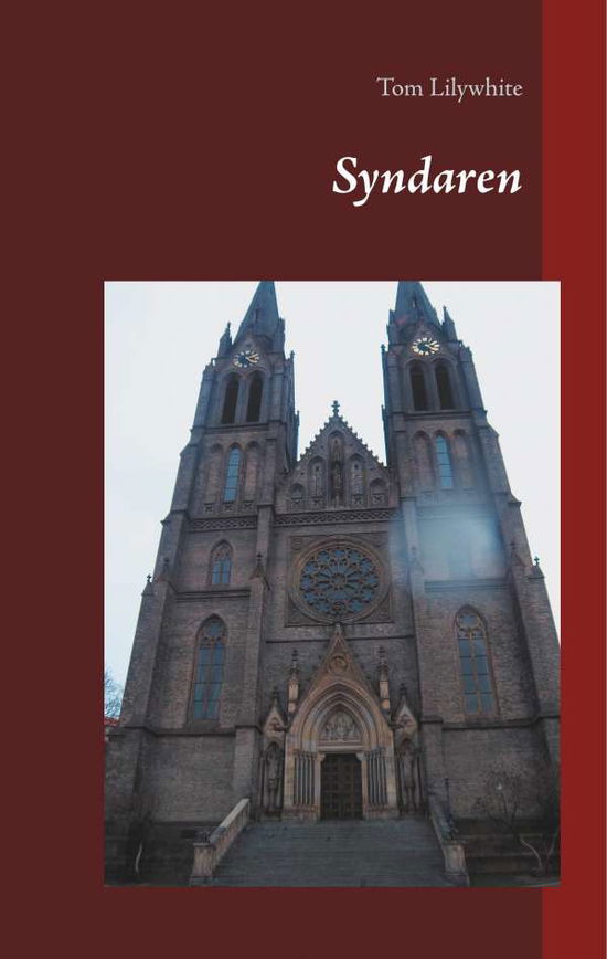 Cover for Tom Lilywhite · Syndaren : Syndaren (Hardcover Book) (2018)