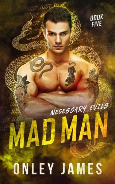 Cover for Onley James · Mad Man - Necessary Evils (Taschenbuch) (2022)