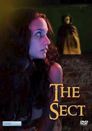 Cover for Sect (DVD) (2020)