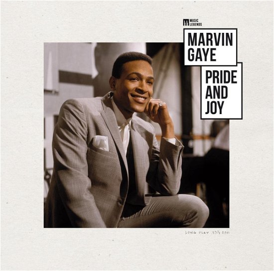 Marvin Gaye - Music Legends - Music - WAGRAM - 3596974241862 - 