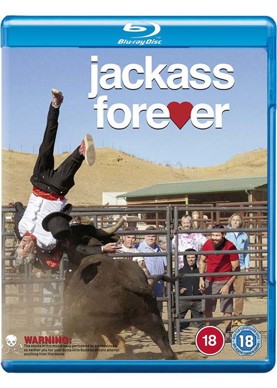 Jackass Forever - Jackass Forever - Elokuva - Paramount Pictures - 5056453202862 - maanantai 2. toukokuuta 2022