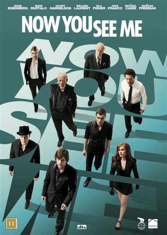 Cover for Woody Harrelson · Now You See Me (DVD) (2013)