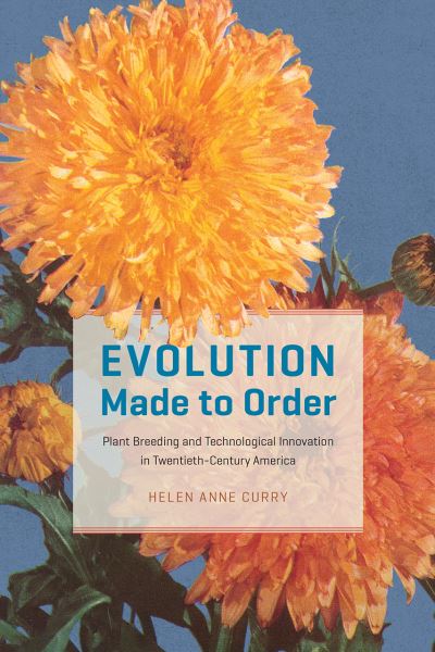 Cover for Helen Anne Curry · Evolution Made to Order: Plant Breeding and Technological Innovation in Twentieth-Century America (Paperback Book) (2021)