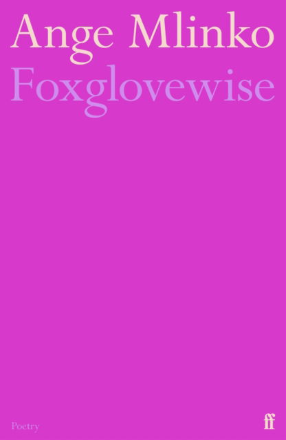 Cover for Ange Mlinko · Foxglovewise (Paperback Book) [Main edition] (2025)