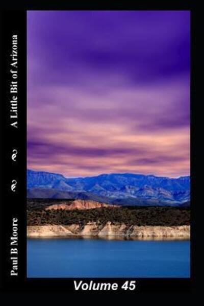 A Little Bit of Arizona : Volume 45 - Paul Moore - Böcker - Independently published - 9781099485862 - 20 maj 2019