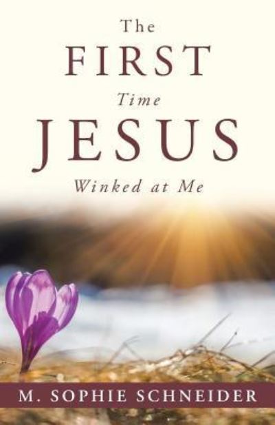 Cover for M Sophie Schneider · The First Time Jesus Winked at Me (Paperback Book) (2016)