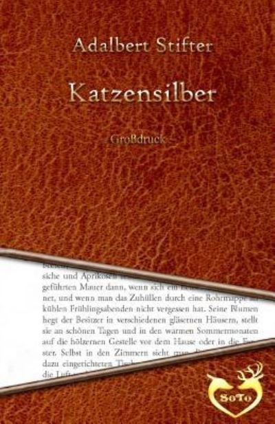 Cover for Adalbert Stifter · Katzensilber - Grossdruck (Paperback Bog) (2016)