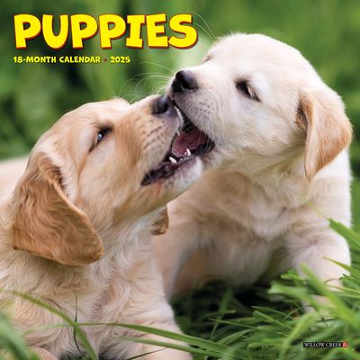 Willow Creek Press · Puppies 2025 7 X 7 Mini Wall Calendar (Calendar) (2024)