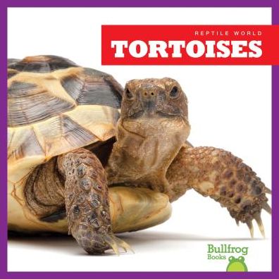 Cover for Vanessa Black · Tortoises (Hardcover Book) (2016)