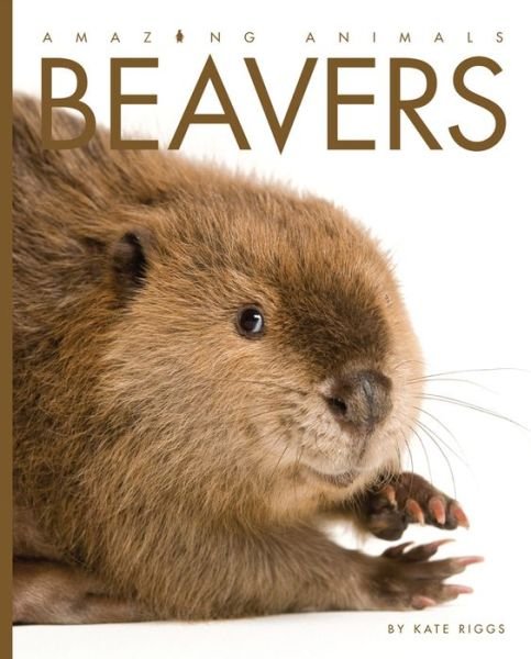 Amazing Animals: Beavers - Kate Riggs - Kirjat - Creative Paperbacks - 9781628320862 - tiistai 15. syyskuuta 2015