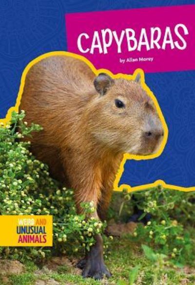 Cover for Allan Morey · Capybaras (Paperback Book) (2018)