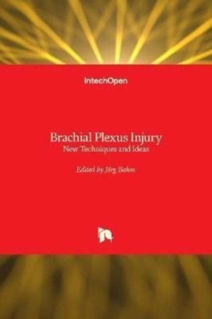 Cover for Jrg Bahm · Brachial Plexus Injury: New Techniques and Ideas (Gebundenes Buch) (2022)