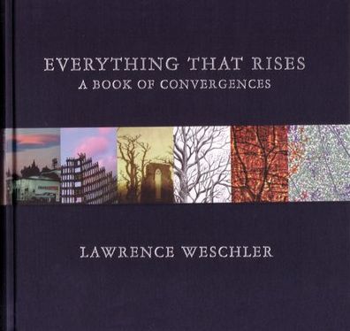 Everything That Rises: A Book of Convergences - Lawrence Weschler - Books - McSweeney's Publishing - 9781932416862 - August 16, 2007