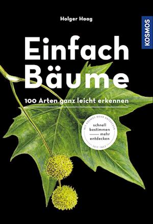 Einfach Bäume - Holger Haag - Books - Franckh-Kosmos - 9783440173862 - February 21, 2022