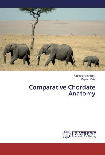 Cover for Rajeev Vats · Comparative Chordate Anatomy (Paperback Book) (2014)