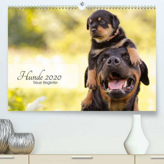 Cover for Pohle · Hunde 2020 - Treue Begleiter (Pre (Book)