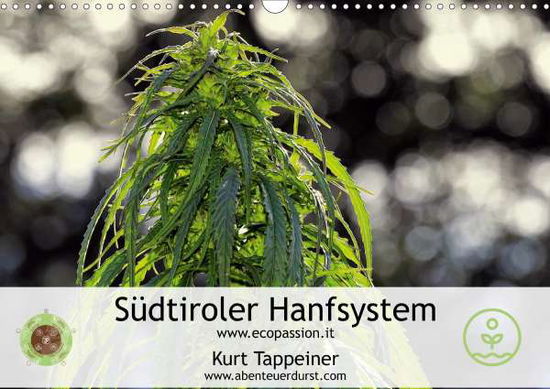 Cover for Tappeiner · Südtiroler Hanfsystem (Wandka (Book)