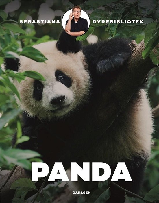 Cover for Sebastian Klein · Sebastians dyrebibliotek: Sebastians dyrebibliotek: Panda (Bound Book) [1th edição] (2019)