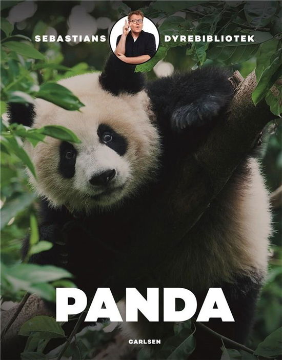 Sebastians dyrebibliotek: Sebastians dyrebibliotek: Panda - Sebastian Klein - Bøger - CARLSEN - 9788711917862 - 24. oktober 2019