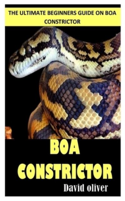 Cover for David Oliver · Boa Constrictors: The Ultimate Beginners Guide on Boa Constrictor (Paperback Book) (2022)