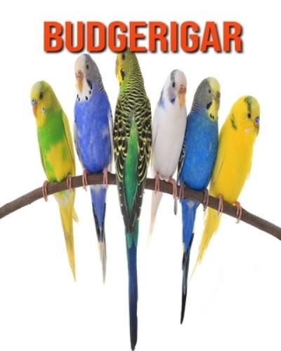 Budgerigar - William Doyle - Książki - Independently Published - 9798694538862 - 6 października 2020