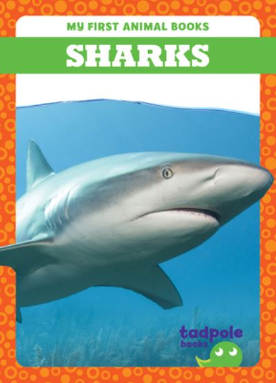 Sharks - My First Animal Books - Natalie Deniston - Książki - Jump! Incorporated - 9798889965862 - 11 października 2024