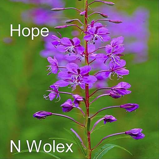 Cover for N Wolex · Hope (CD) (2011)