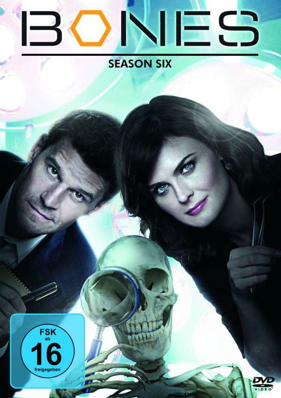 Cover for Bones · Bones - Die Knochenjägerin - Staffel 6 (DVD) (2017)