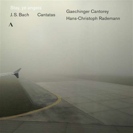 Cover for Gaechinger Cantorey · Stay, Ye Angels (CD) (2019)