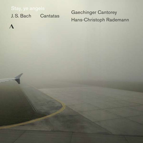 Stay, Ye Angels - Gaechinger Cantorey / Hans-Christoph Rademann - Musiikki - ACCENTUS - 4260234831863 - keskiviikko 1. toukokuuta 2019