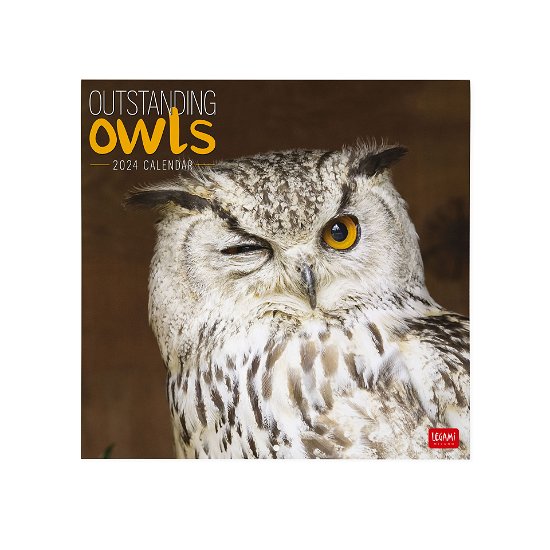 Cover for Legami · Wall Calendars - 2024 Wall Calendar - Outstanding Owls - 30x29 - Animals (Paperback Book) (2023)