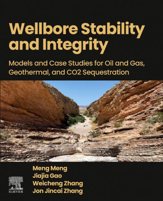 Cover for Meng, Meng (Postdoctoral Researcher, Los Alamos National Laboratory, Los Alamos, NM, USA) · Wellbore Stability and Integrity: Models and Case Studies for Oil and Gas, Geothermal, and CO2 Sequestration (Paperback Book) (2025)