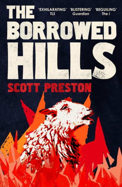 Cover for Scott Preston · The Borrowed Hills: 'A sucker-punch of a novel' Guardian (Paperback Book) (2025)