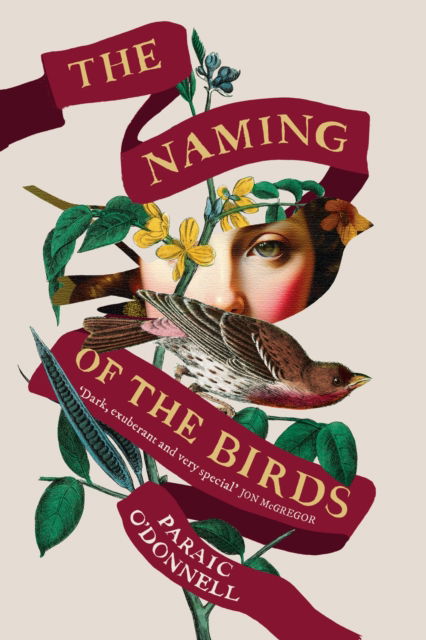 Cover for Paraic O'Donnell · The Naming of the Birds (Hardcover Book) (2025)