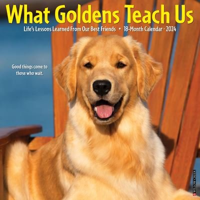 Cover for Willow Creek Press · What Goldens Teach Us 2024 12 X 12 Wall Calendar (Kalender) (2023)