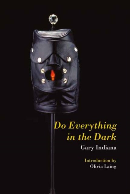 Cover for Gary Indiana · Do Everything in the Dark (Paperback Bog) (2023)