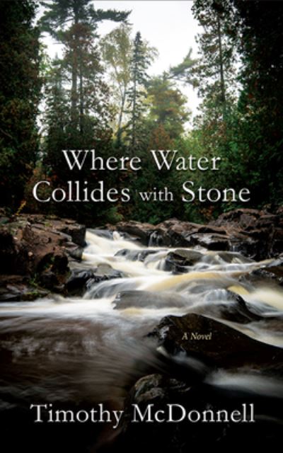 Cover for Timothy McDonnell · Where Water Collides with Stone (Book) (2020)