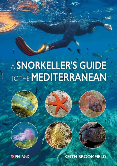 A Snorkeller’s Guide to the Mediterranean: A photographic ID guide to the most commonly encountered marine species - Keith Broomfield - Książki - Pelagic Publishing - 9781784274863 - 8 października 2024