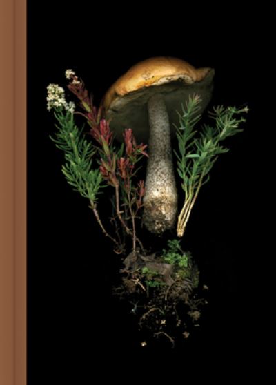 Cover for Julya Hajnoczky · Deep Dark Forest Mushroom Journal (MISC) (2023)