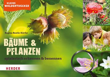 Kleine Waldentdecker: Bäume & Pflanzen - Regina Bestle-Körfer - Books - Herder Verlag GmbH - 9783451389863 - July 1, 2021