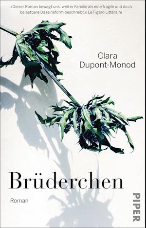 Cover for Clara Dupont-Monod · Brüderchen (Book) (2024)