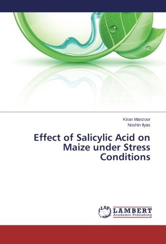 Cover for Noshin Ilyas · Effect of Salicylic Acid on Maize Under Stress Conditions (Paperback Bog) (2014)