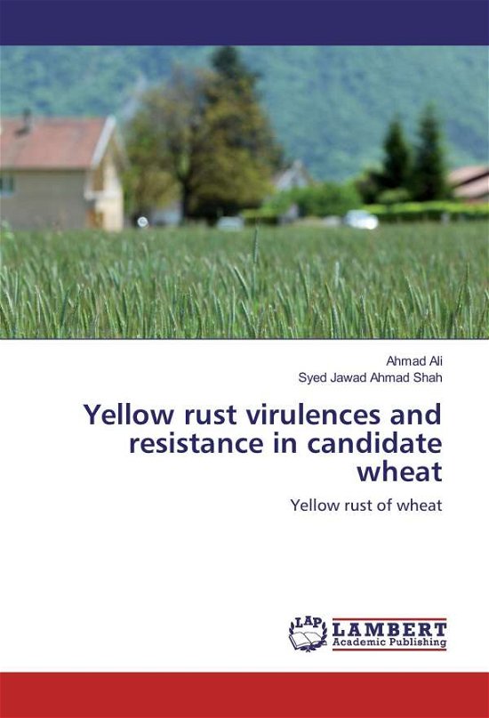 Cover for Ali · Yellow rust virulences and resistan (Bog)