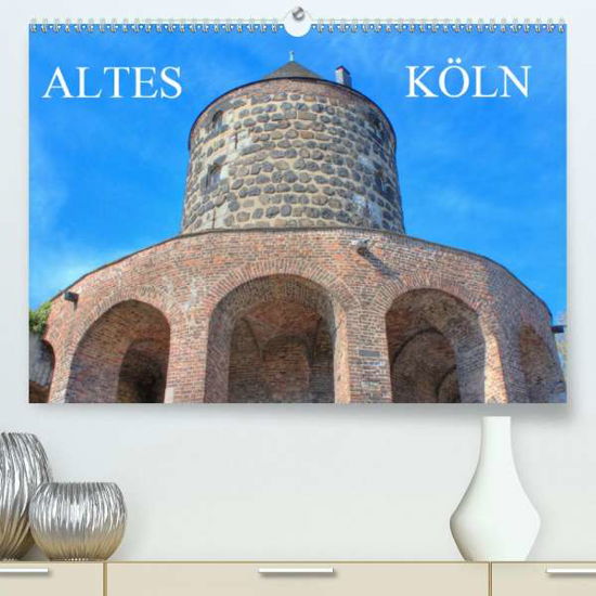 Altes Köln - Denkmäler und Histor - Stock - Böcker -  - 9783672302863 - 