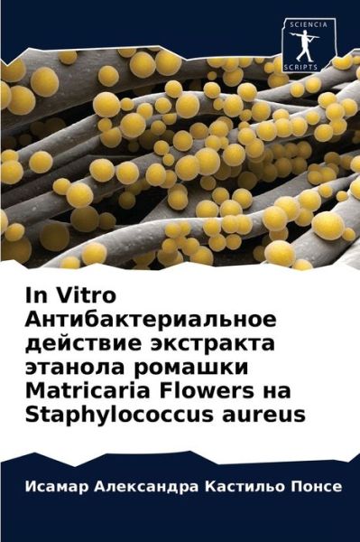 Cover for ????? ???????? ????? · In Vitro ????????????????? ???????? ????????? ? (Pocketbok) (2021)