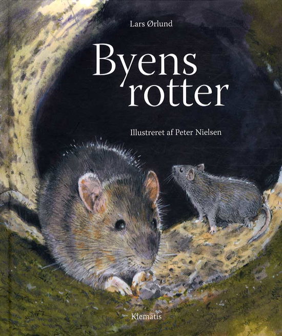 Cover for Lars Ørlund · Byens rotter (Bound Book) [1st edition] (2013)