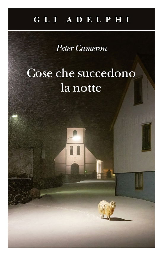 Cover for Peter Cameron · Cose Che Succedono La Notte (Book)