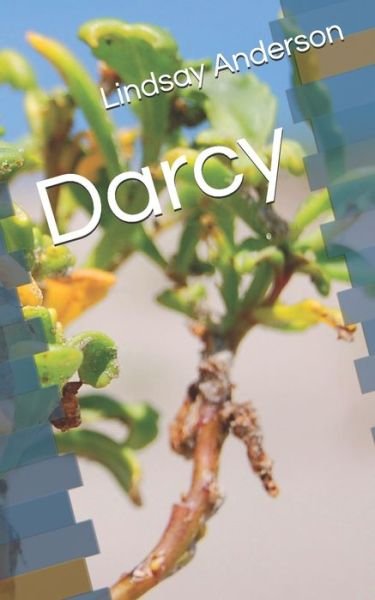 Cover for Lindsay Anderson · Darcy (Paperback Bog) (2020)
