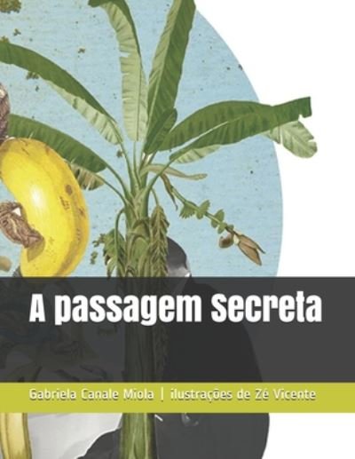Cover for Zé Vicente · A passagem Secreta (Paperback Bog) (2020)